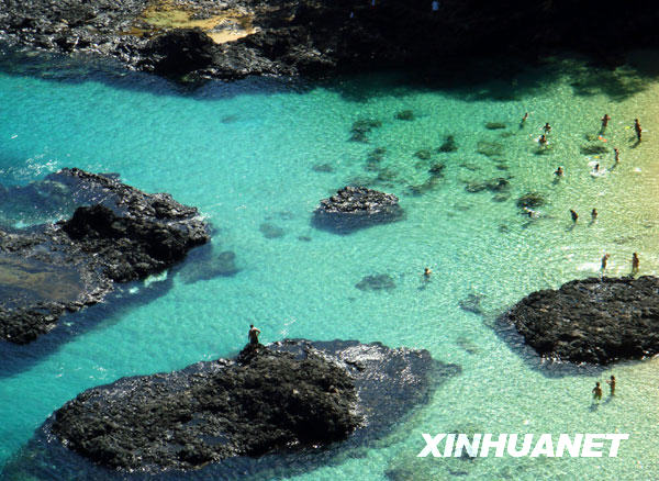 尔南多—迪诺罗尼亚岛冰球突破平台美丽的费